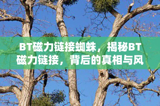 BT磁力链接蜘蛛，揭秘BT磁力链接，背后的真相与风险