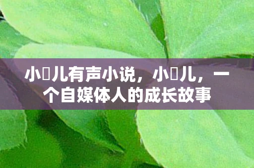 小苮儿有声小说,小苮儿,一个自媒体人的成长故事 小苮儿有声小说,小苮儿,一个自媒体人的成长故事