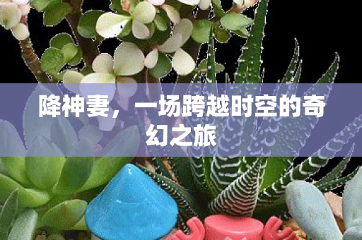 降神妻，一场跨越时空的奇幻之旅