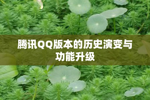 腾讯QQ版本的历史演变与功能升级图片