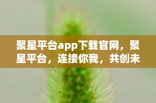 聚星平台app下载官网,聚星平台,连接你我,共创未来 聚星平台app下载官网,聚星平台,连接你我,共创未来