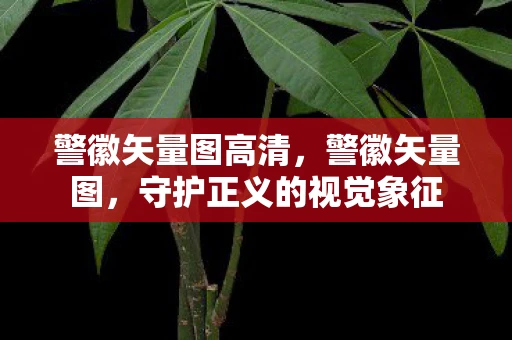 警徽矢量图高清,警徽矢量图,守护正义的视觉象征 警徽矢量图高清,警徽矢量图,守护正义的视觉象征