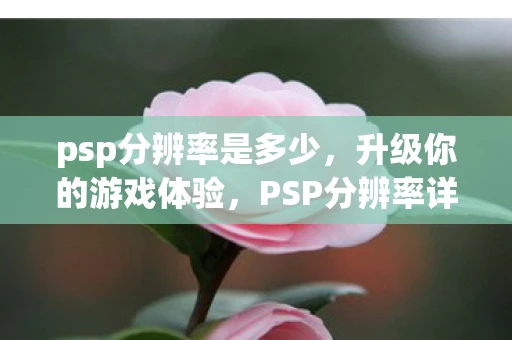 psp分辨率是多少，升级你的游戏体验，PSP分辨率详解