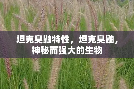 坦克臭鼬特性，坦克臭鼬，神秘而强大的生物