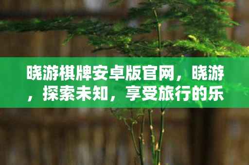 晓游棋牌安卓版官网，晓游，探索未知，享受旅行的乐趣