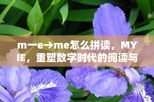 m一e→me怎么拼读，MYIE，重塑数字时代的阅读与笔记体验