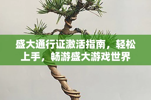 盛大通行证激活指南图片