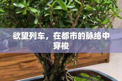 欲望列车，在都市的脉络中穿梭