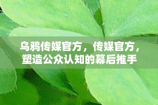 乌鸦传媒官方，传媒官方，塑造公众认知的幕后推手