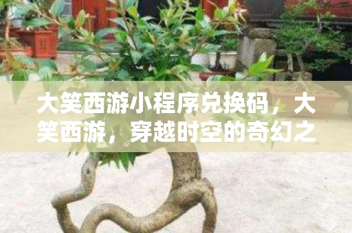 大笑西游小程序兑换码,大笑西游,穿越时空的奇幻之旅 大笑西游小程序兑换码,大笑西游,穿越时空的奇幻之旅