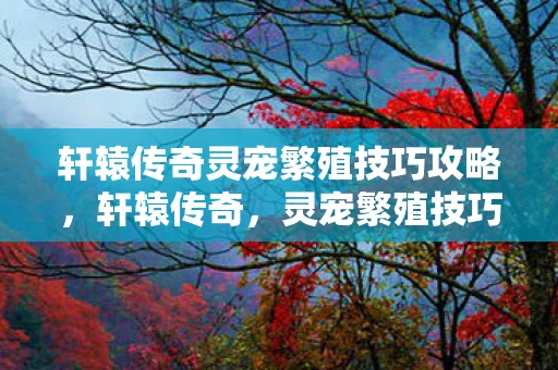 轩辕传奇灵宠繁殖技巧攻略，轩辕传奇，灵宠繁殖技巧全解析