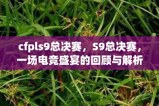 cfpls9总决赛，S9总决赛，一场电竞盛宴的回顾与解析