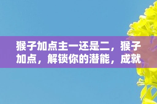 猴子加点主一还是二，猴子加点，解锁你的潜能，成就非凡人生