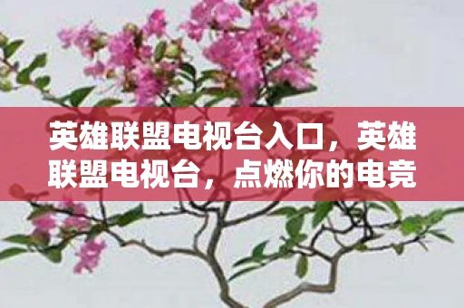 英雄联盟电视台入口,英雄联盟电视台,点燃你的电竞激情 英雄联盟电视台入口,英雄联盟电视台,点燃你的电竞激情