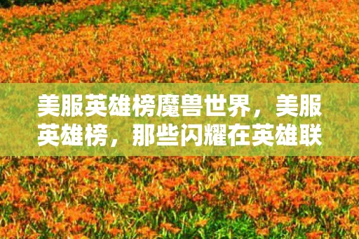 美服英雄榜魔兽世界，美服英雄榜，那些闪耀在英雄联盟舞台上的璀璨之星