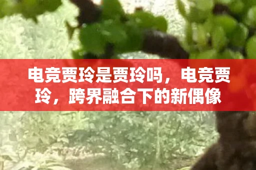 电竞贾玲是贾玲吗，电竞贾玲，跨界融合下的新偶像