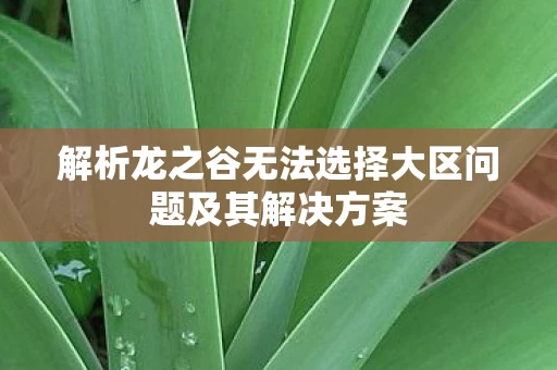 解析龙之谷无法选择大区问题及其解决方案图片