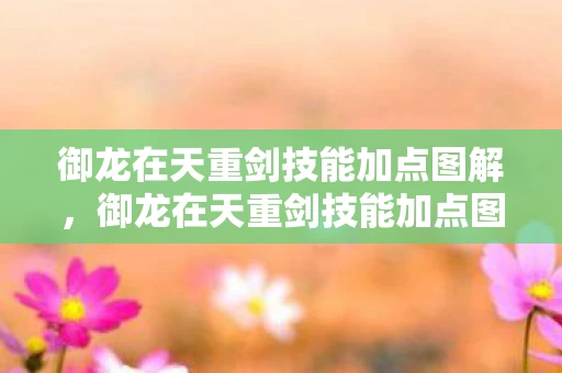 御龙在天重剑技能加点图解,御龙在天重剑技能加点图详解 御龙在天重剑技能加点图解,御龙在天重剑技能加点图详解