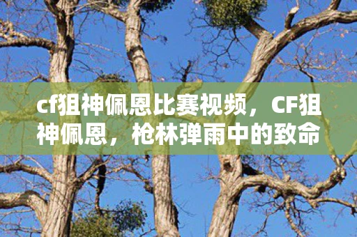 cf狙神佩恩比赛视频,CF狙神佩恩,枪林弹雨中的致命一击 cf狙神佩恩比赛视频,CF狙神佩恩,枪林弹雨中的致命一击