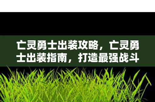 亡灵勇士出装攻略，亡灵勇士出装指南，打造最强战斗力的装备搭配