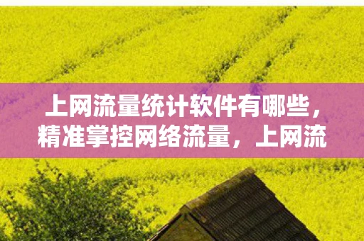 上网流量统计软件有哪些,精准掌控网络流量,上网流量统计软件全解析 上网流量统计软件有哪些,精准掌控网络流量,上网流量统计软件全解析