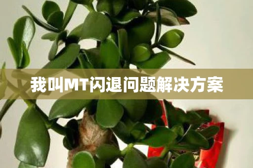 我叫MT闪退问题解决方案图片