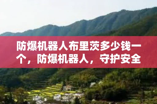 防爆机器人布里茨多少钱一个,防爆机器人,守护安全,引领未来 防爆机器人布里茨多少钱一个,防爆机器人,守护安全,引领未来