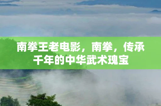 南拳王老电影，南拳，传承千年的中华武术瑰宝