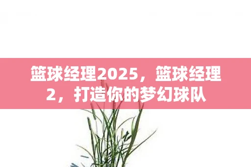 篮球经理2025,篮球经理2,打造你的梦幻球队 篮球经理2025,篮球经理2,打造你的梦幻球队