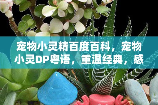 宠物小灵精百度百科，宠物小灵DP粤语，重温经典，感受粤语魅力