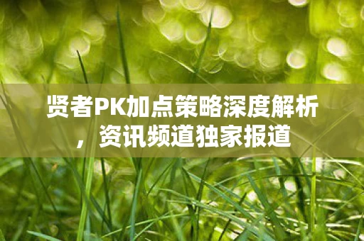 贤者PK加点策略深度解析图片