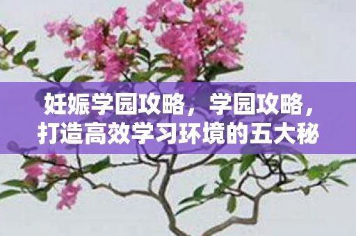 妊娠学园攻略，学园攻略，打造高效学习环境的五大秘诀
