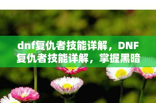 dnf复仇者技能详解，DNF复仇者技能详解，掌握黑暗力量的神秘职业
