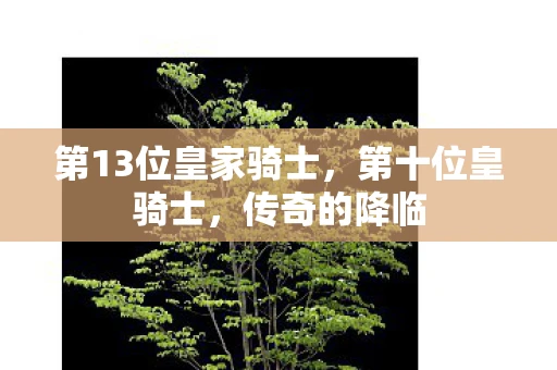 第13位皇家骑士，第十位皇骑士，传奇的降临