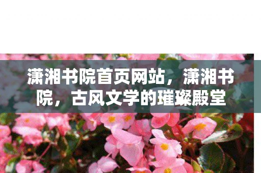 潇湘书院首页网站，潇湘书院，古风文学的璀璨殿堂