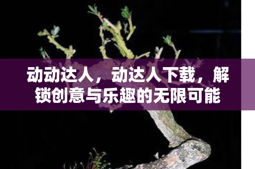 动动达人，动达人下载，解锁创意与乐趣的无限可能