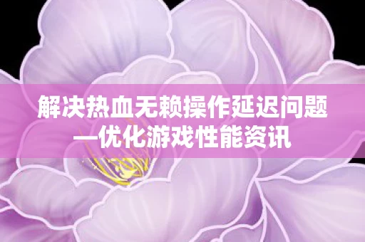 解决热血无赖操作延迟问题图片