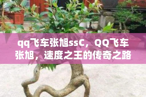 qq飞车张旭ssC，QQ飞车张旭，速度之王的传奇之路