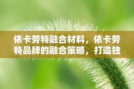依卡劳特融合材料,依卡劳特品牌的融合策略,打造独特品牌文化的创新之路 依卡劳特融合材料,依卡劳特品牌的融合策略,打造独特品牌文化的创新之路