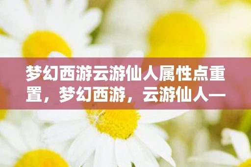 梦幻西游云游仙人属性点重置，梦幻西游，云游仙人—穿越时空的奇幻之旅