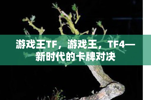 游戏王TF,游戏王,TF4—新时代的卡牌对决 游戏王TF,游戏王,TF4—新时代的卡牌对决
