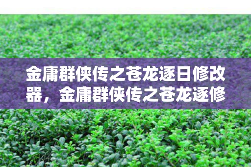 金庸群侠传之苍龙逐日修改器,金庸群侠传之苍龙逐修改器,重塑武侠世界的神器 金庸群侠传之苍龙逐日修改器,金庸群侠传之苍龙逐修改器,重塑武侠世界的神器