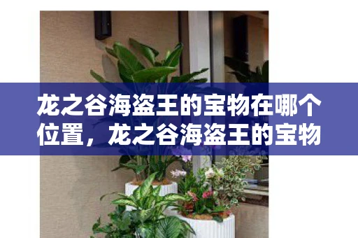 龙之谷海盗王的宝物在哪个位置,龙之谷海盗王的宝物 龙之谷海盗王的宝物在哪个位置,龙之谷海盗王的宝物