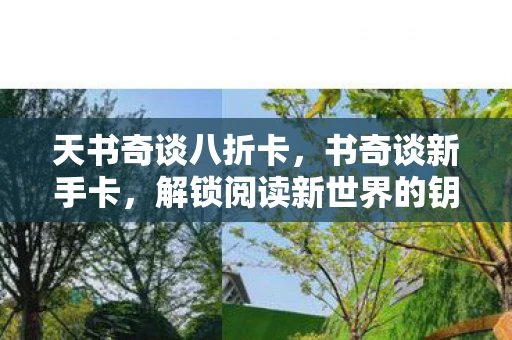 天书奇谈八折卡，书奇谈新手卡，解锁阅读新世界的钥匙
