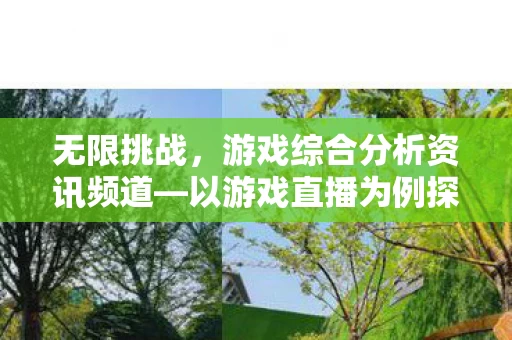 以游戏直播为例探讨无限挑战的魅力与未来趋势图片