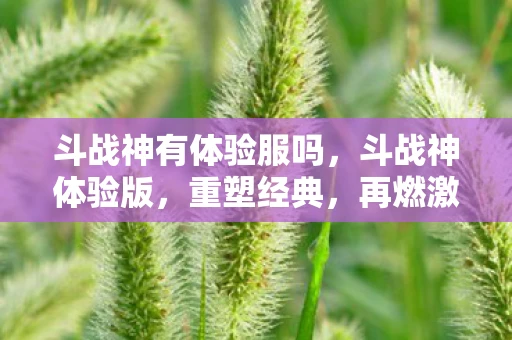 斗战神有体验服吗，斗战神体验版，重塑经典，再燃激情