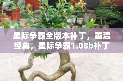 星际争霸全版本补丁,重温经典,星际争霸1.08b补丁的传奇故事 星际争霸全版本补丁,重温经典,星际争霸1.08b补丁的传奇故事