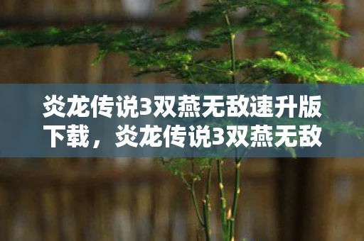 炎龙传说3双燕无敌速升版下载，炎龙传说3双燕无敌速升版，解锁无限可能的冒险之旅