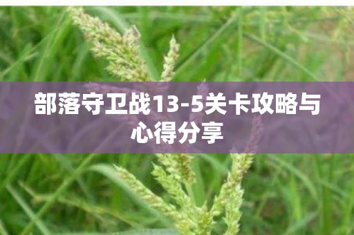 5关卡攻略与心得分享图片