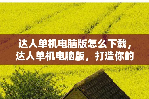 达人单机电脑版怎么下载，达人单机电脑版，打造你的专属创作工作室